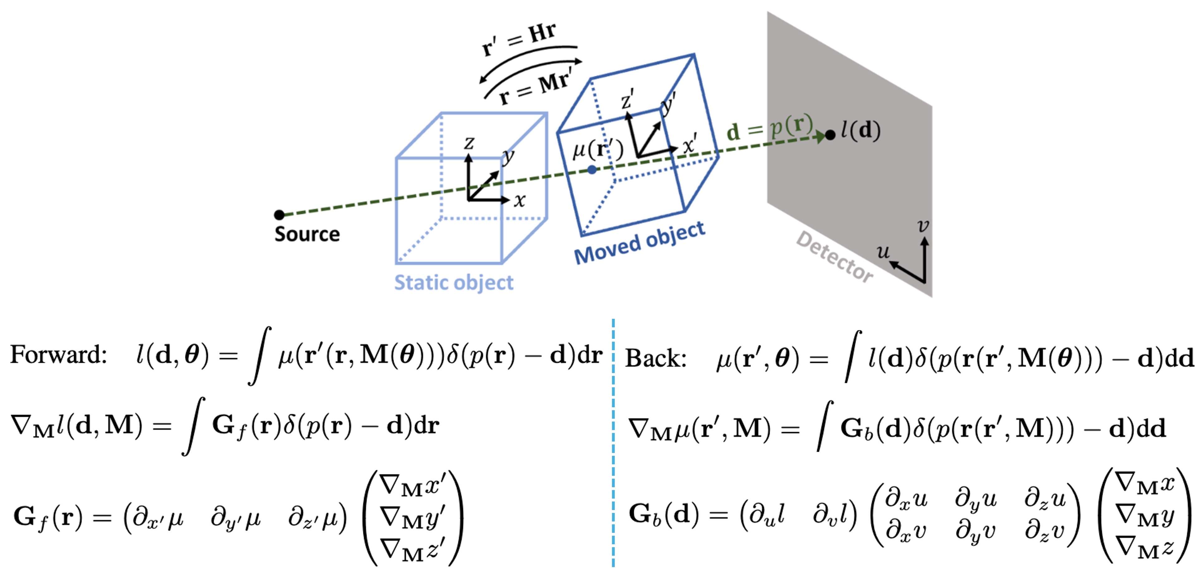 Differentiable Forward and Back-Projector for Rigid Motion Estimation in X-ray Imaging